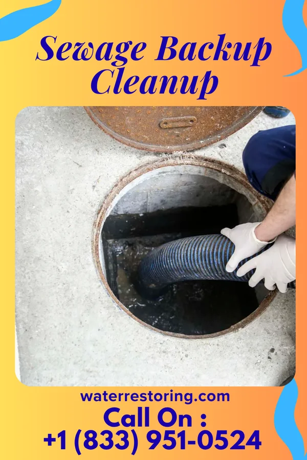 Sewage Backup Cleanup in Boley, OK